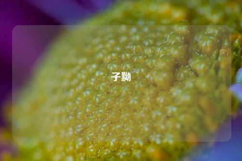 子黝