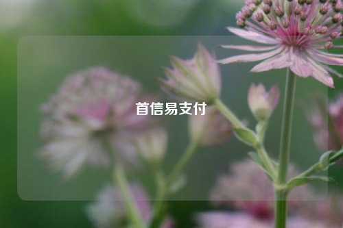 首信易支付