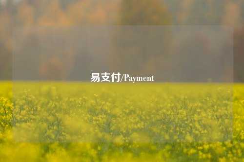 易支付/Payment