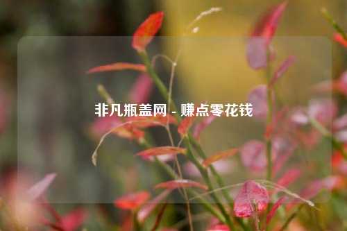 非凡瓶盖网 - 赚点零花钱