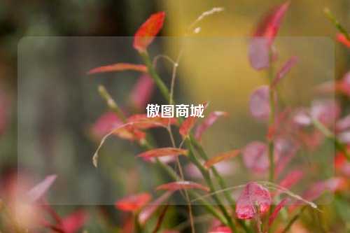 傲图商城
