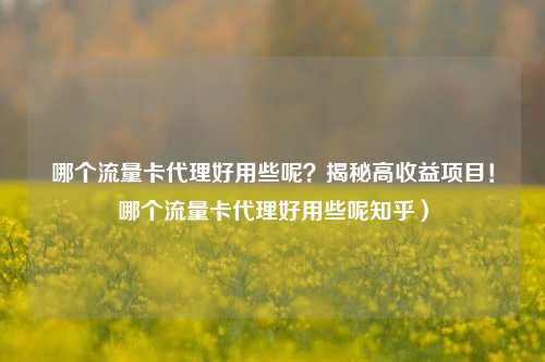 哪个流量卡代理好用些呢？揭秘高收益项目！哪个流量卡代理好用些呢知乎）