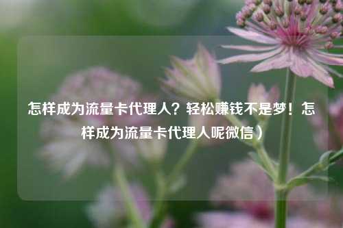 怎样成为流量卡代理人？轻松赚钱不是梦！怎样成为流量卡代理人呢微信）