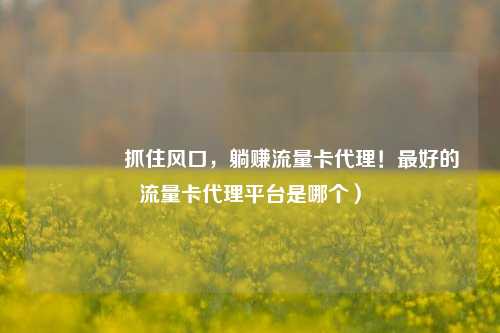 🚀抓住风口，躺赚流量卡代理！最好的流量卡代理平台是哪个）