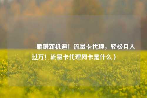 🚀躺赚新机遇！流量卡代理，轻松月入过万！流量卡代理网卡是什么）