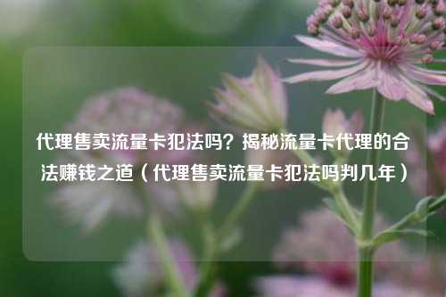 代理售卖流量卡犯法吗？揭秘流量卡代理的合法赚钱之道（代理售卖流量卡犯法吗判几年）