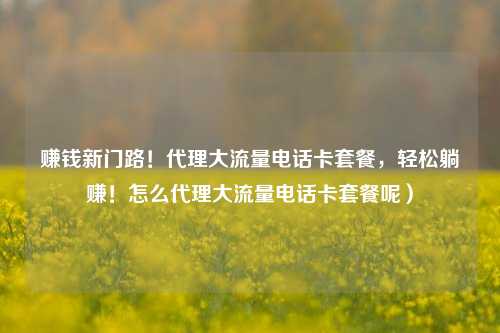 赚钱新门路！代理大流量电话卡套餐，轻松躺赚！怎么代理大流量电话卡套餐呢）