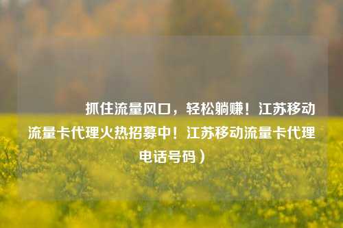 🚀抓住流量风口，轻松躺赚！江苏移动流量卡代理火热招募中！江苏移动流量卡代理电话号码）