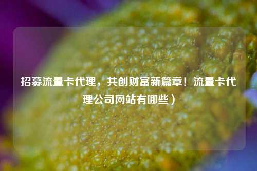 招募流量卡代理，共创财富新篇章！流量卡代理公司网站有哪些）