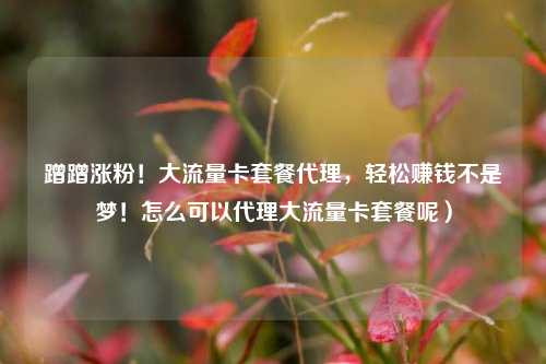 蹭蹭涨粉！大流量卡套餐代理，轻松赚钱不是梦！怎么可以代理大流量卡套餐呢）