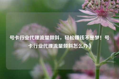 号卡行业代理流量倾斜，轻松赚钱不是梦！号卡行业代理流量倾斜怎么办）