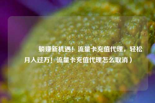 🚀躺赚新机遇！流量卡充值代理，轻松月入过万！流量卡充值代理怎么取消）