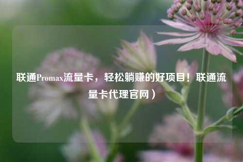 联通Promax流量卡，轻松躺赚的好项目！联通流量卡代理官网）