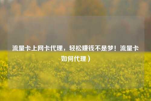 流量卡上网卡代理，轻松赚钱不是梦！流量卡如何代理）