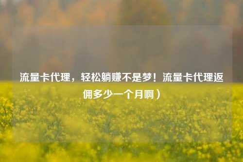 流量卡代理，轻松躺赚不是梦！流量卡代理返佣多少一个月啊）