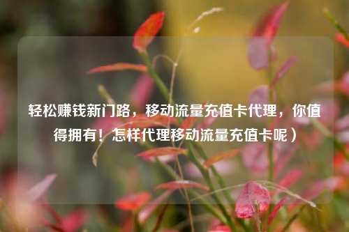 轻松赚钱新门路，移动流量充值卡代理，你值得拥有！怎样代理移动流量充值卡呢）