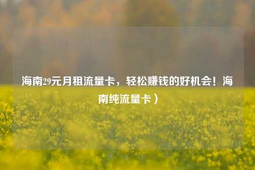 海南29元月租流量卡，轻松赚钱的好机会！海南纯流量卡）