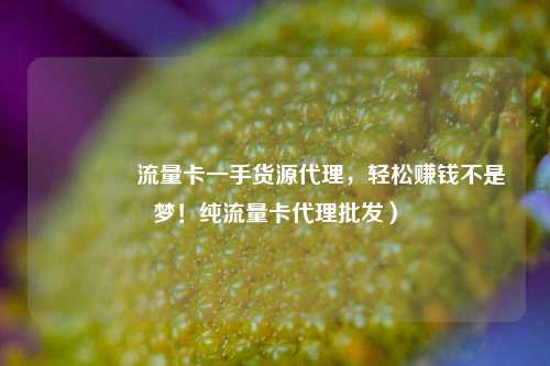 🚀流量卡一手货源代理，轻松赚钱不是梦！纯流量卡代理批发）
