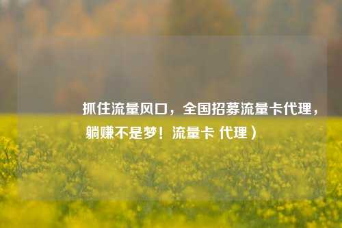 🚀抓住流量风口，全国招募流量卡代理，躺赚不是梦！流量卡 代理）