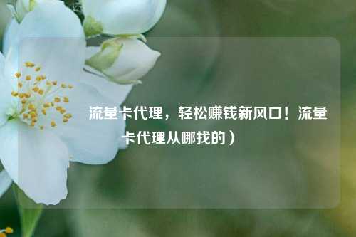 🚀流量卡代理，轻松赚钱新风口！流量卡代理从哪找的）