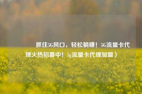 🚀抓住5G风口，轻松躺赚！5G流量卡代理火热招募中！5g流量卡代理加盟）