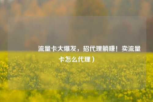🚀流量卡大爆发，招代理躺赚！卖流量卡怎么代理）