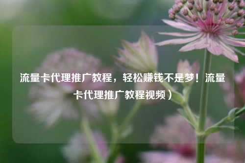流量卡代理推广教程，轻松赚钱不是梦！流量卡代理推广教程视频）