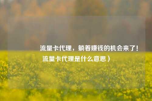 🚀流量卡代理，躺着赚钱的机会来了！流量卡代理是什么意思）