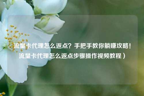 流量卡代理怎么返点？手把手教你躺赚攻略！流量卡代理怎么返点步骤操作视频教程）