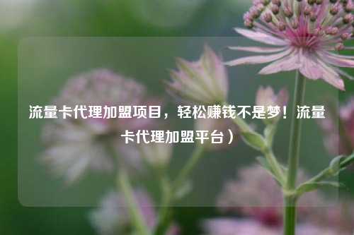 流量卡代理加盟项目，轻松赚钱不是梦！流量卡代理加盟平台）