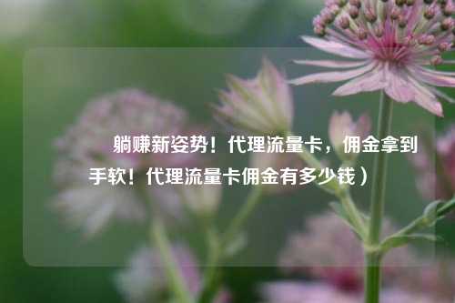 🚀躺赚新姿势！代理流量卡，佣金拿到手软！代理流量卡佣金有多少钱）