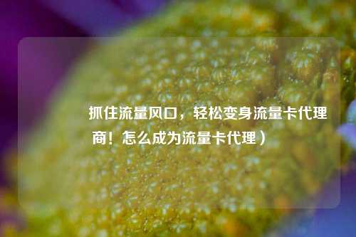 🚀抓住流量风口，轻松变身流量卡代理商！怎么成为流量卡代理）