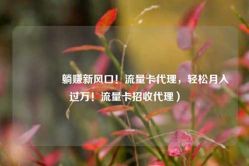 🚀躺赚新风口！流量卡代理，轻松月入过万！流量卡招收代理）