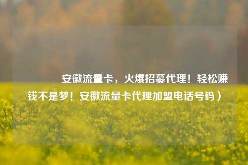 🚀安徽流量卡，火爆招募代理！轻松赚钱不是梦！安徽流量卡代理加盟电话号码）