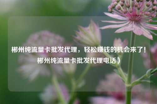 郴州纯流量卡批发代理，轻松赚钱的机会来了！郴州纯流量卡批发代理电话）