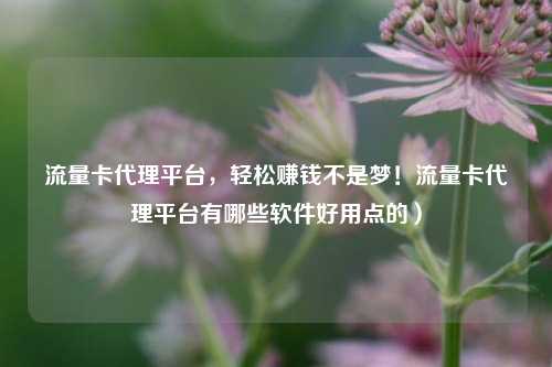流量卡代理平台，轻松赚钱不是梦！流量卡代理平台有哪些软件好用点的）