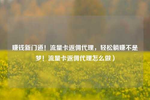 赚钱新门道！流量卡返佣代理，轻松躺赚不是梦！流量卡返佣代理怎么做）