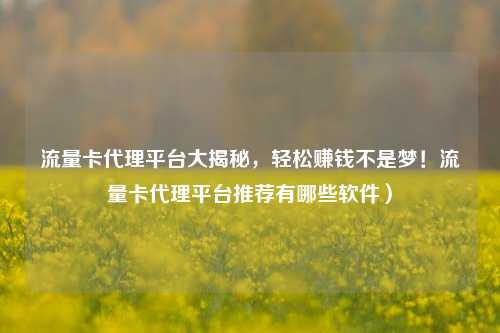 流量卡代理平台大揭秘，轻松赚钱不是梦！流量卡代理平台推荐有哪些软件）