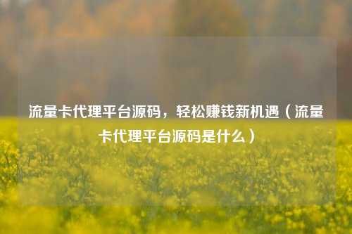 流量卡代理平台源码，轻松赚钱新机遇（流量卡代理平台源码是什么）