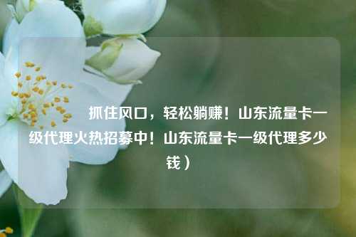 🚀抓住风口，轻松躺赚！山东流量卡一级代理火热招募中！山东流量卡一级代理多少钱）