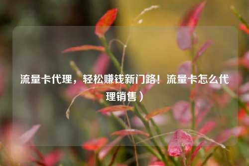 流量卡代理，轻松赚钱新门路！流量卡怎么代理销售）