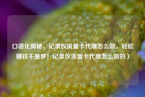口语化揭秘，记录仪流量卡代理怎么做，轻松赚钱不是梦！记录仪流量卡代理怎么做的）
