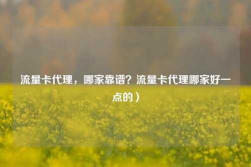流量卡代理，哪家靠谱？流量卡代理哪家好一点的）