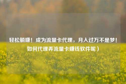 轻松躺赚！成为流量卡代理，月入过万不是梦！如何代理弄流量卡赚钱软件呢）