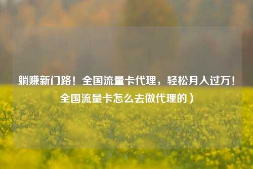 躺赚新门路！全国流量卡代理，轻松月入过万！全国流量卡怎么去做代理的）