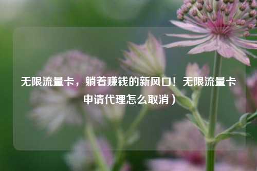 无限流量卡，躺着赚钱的新风口！无限流量卡申请代理怎么取消）
