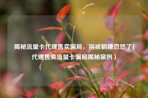 揭秘流量卡代理售卖骗局，别被躺赚忽悠了！代理售卖流量卡骗局揭秘案例）