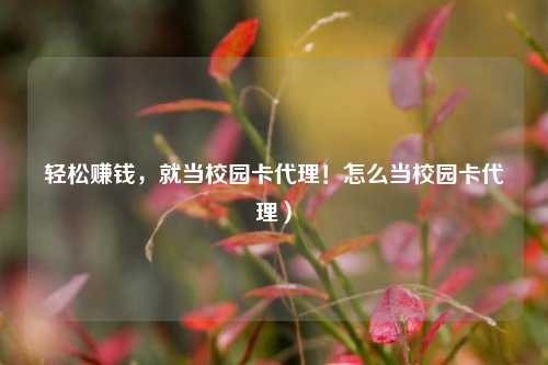 轻松赚钱，就当校园卡代理！怎么当校园卡代理）