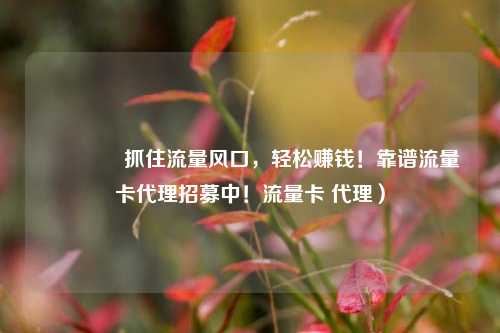 🚀抓住流量风口，轻松赚钱！靠谱流量卡代理招募中！流量卡 代理）