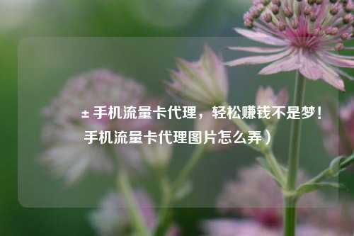 📱手机流量卡代理，轻松赚钱不是梦！手机流量卡代理图片怎么弄）